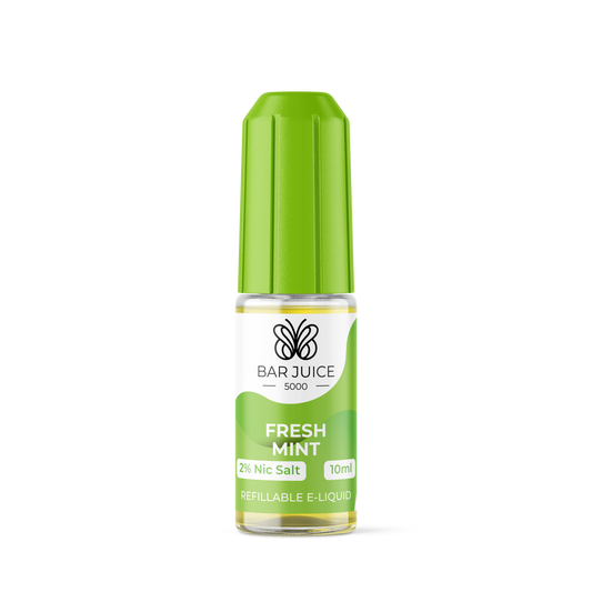 Fresh Mint | 10 Pack